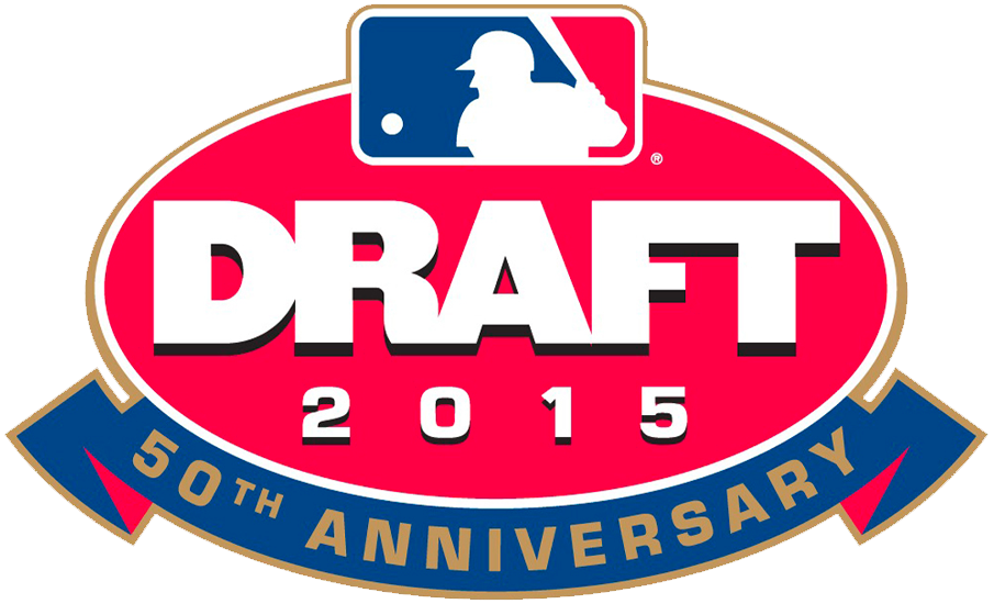 MLB Draft 2015 Primary Logo iron on heat transfer